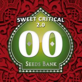 Sweet Critical 2.0 (x3) +1