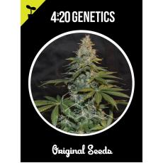AK Auto 4:20 (x3)