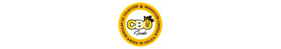 CBO Seeds