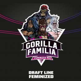 Gorilla Familia Fem (x12)