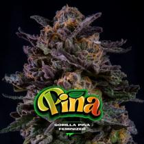 Gorilla Piña (x4)