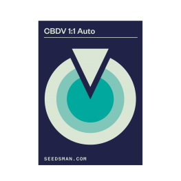 CBDV 1:1 Auto (x3)