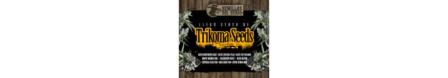 Trikoma Seeds 