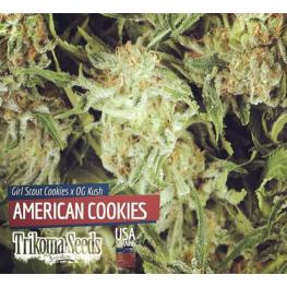 American Cookies (x5)+1